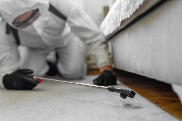 Professional Cockroach Control technician working in Bunkie, LA