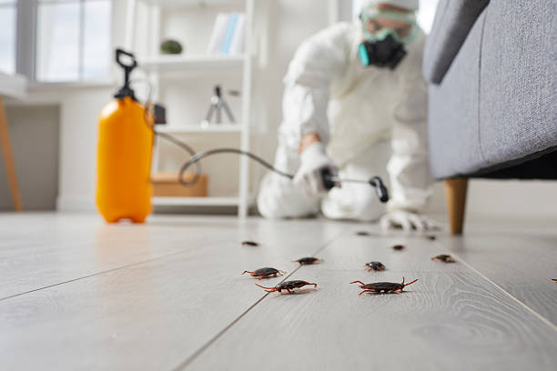Affordable Cockroach Control solutions in Bunkie, LA